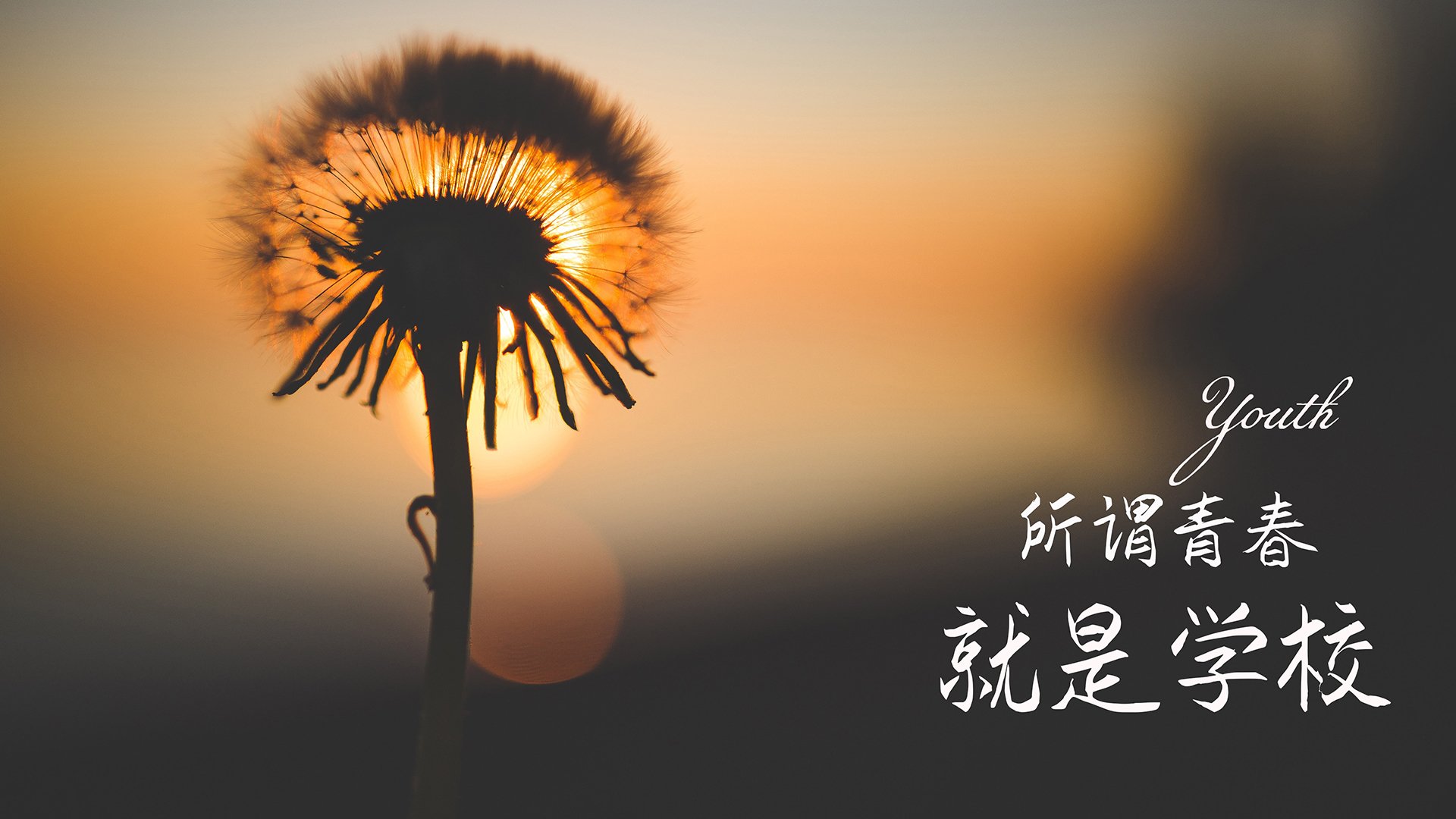 亚洲柔道锦标赛中国军团勇夺五金，亚洲柔道强国