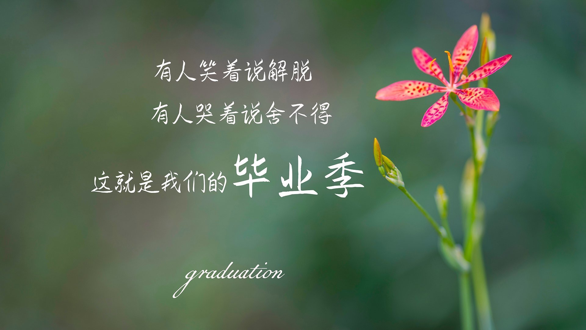 科技助力：AI分析和传感器推动球员训练革新，足球机器人传感器