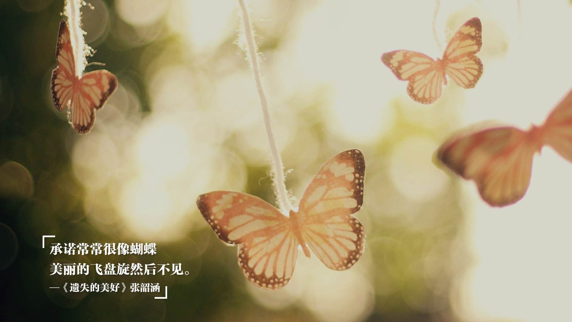 经典对决重温:回顾台球历史上的巅峰赛事,台球历年冠军