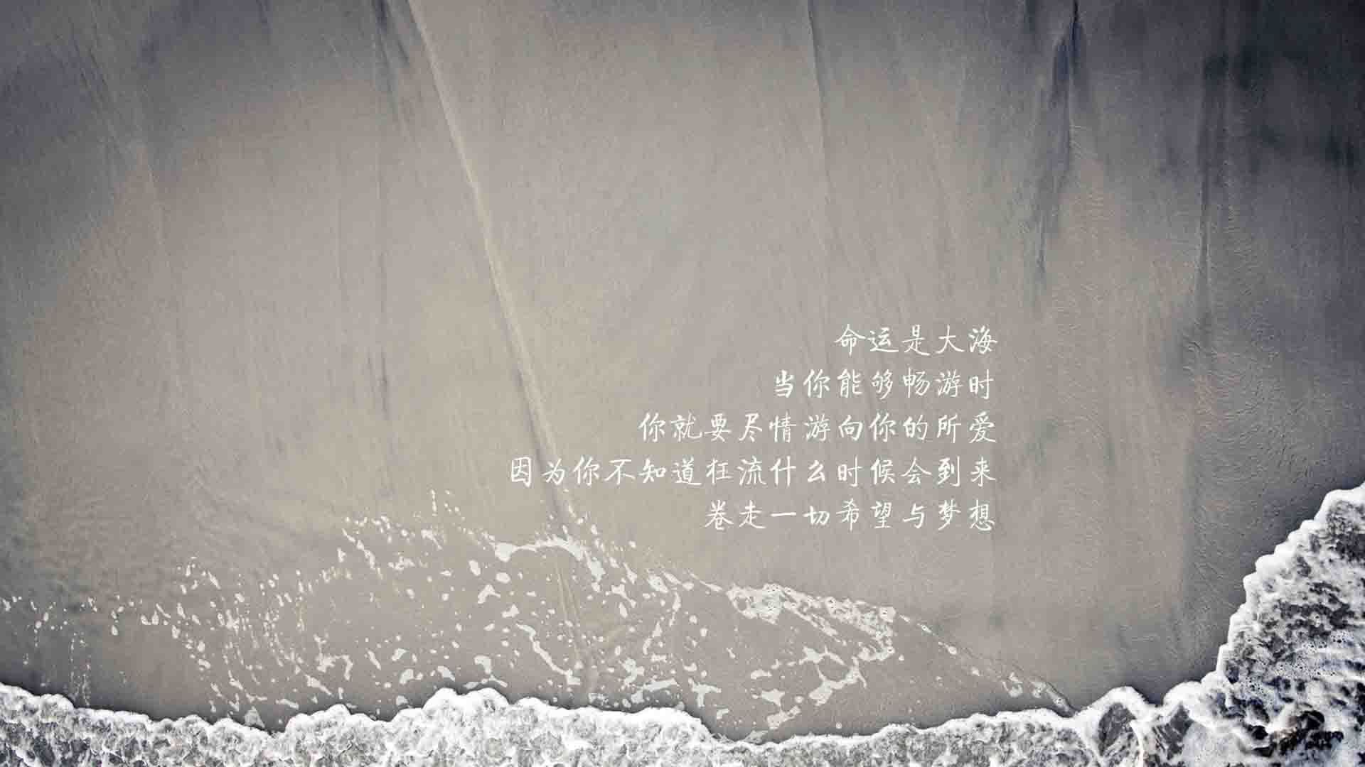 葡萄牙马术协会与科技公司合作，开发虚拟现实训练平台，提升骑手技能。