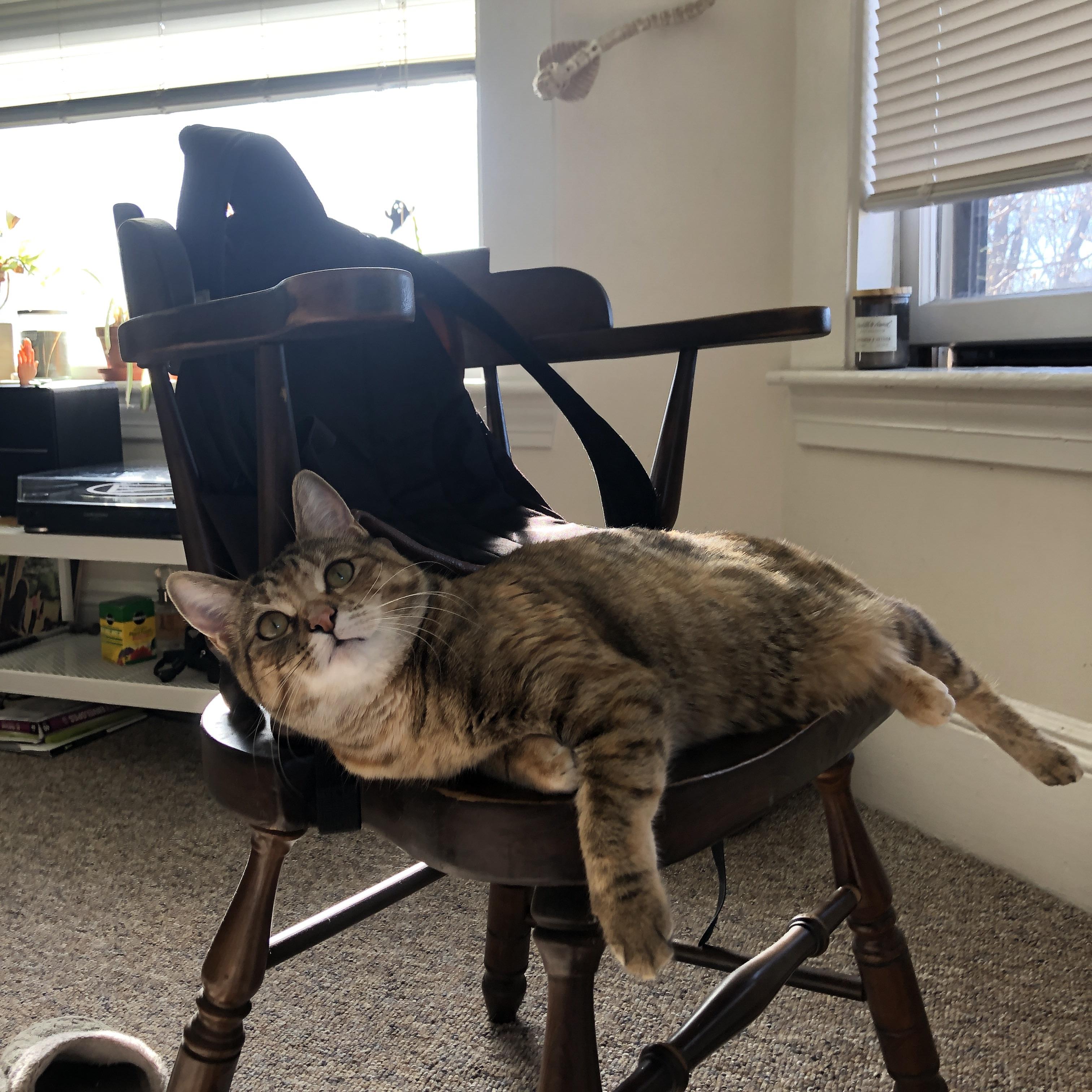 意大利队在国际比赛中一路高歌猛进，吸引众目睽睽，意大利队小组赛