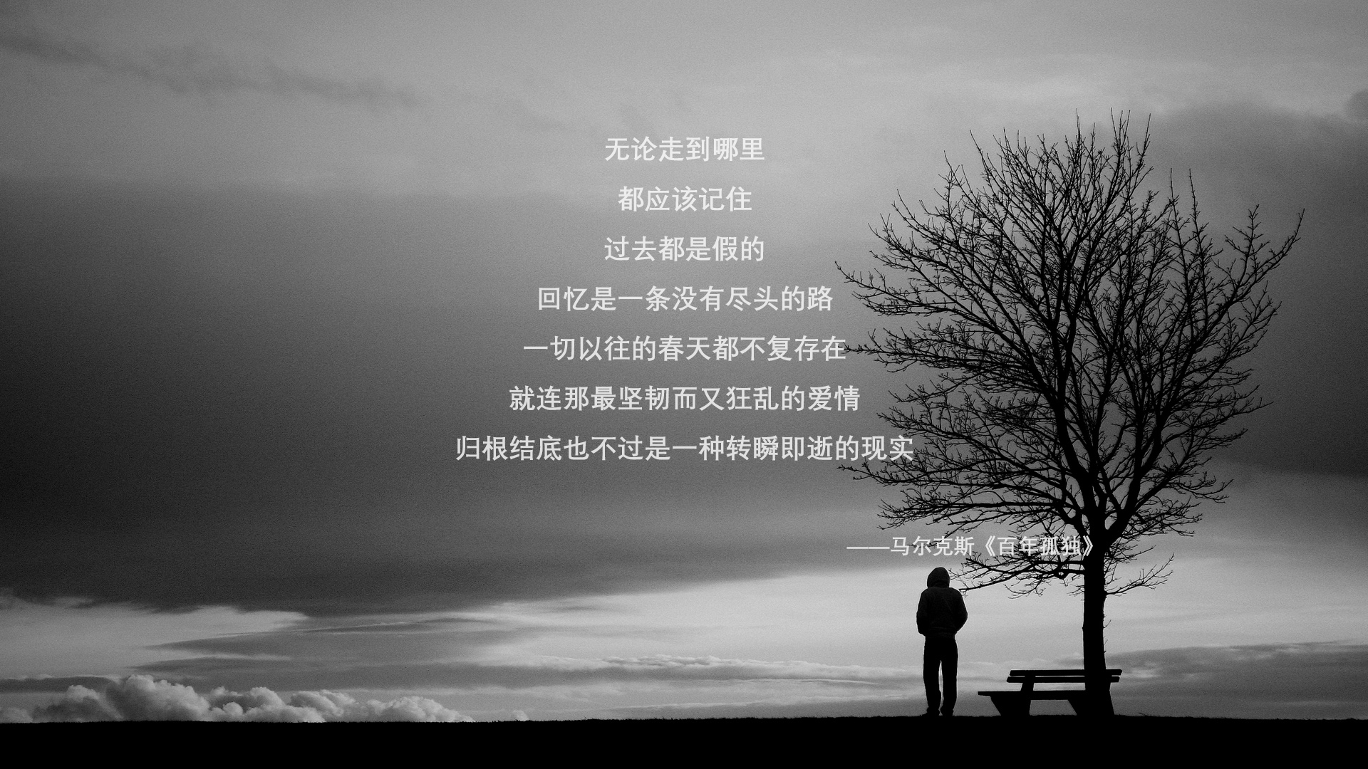 青少年体育赛事裁判培训，青少年体育锦标赛