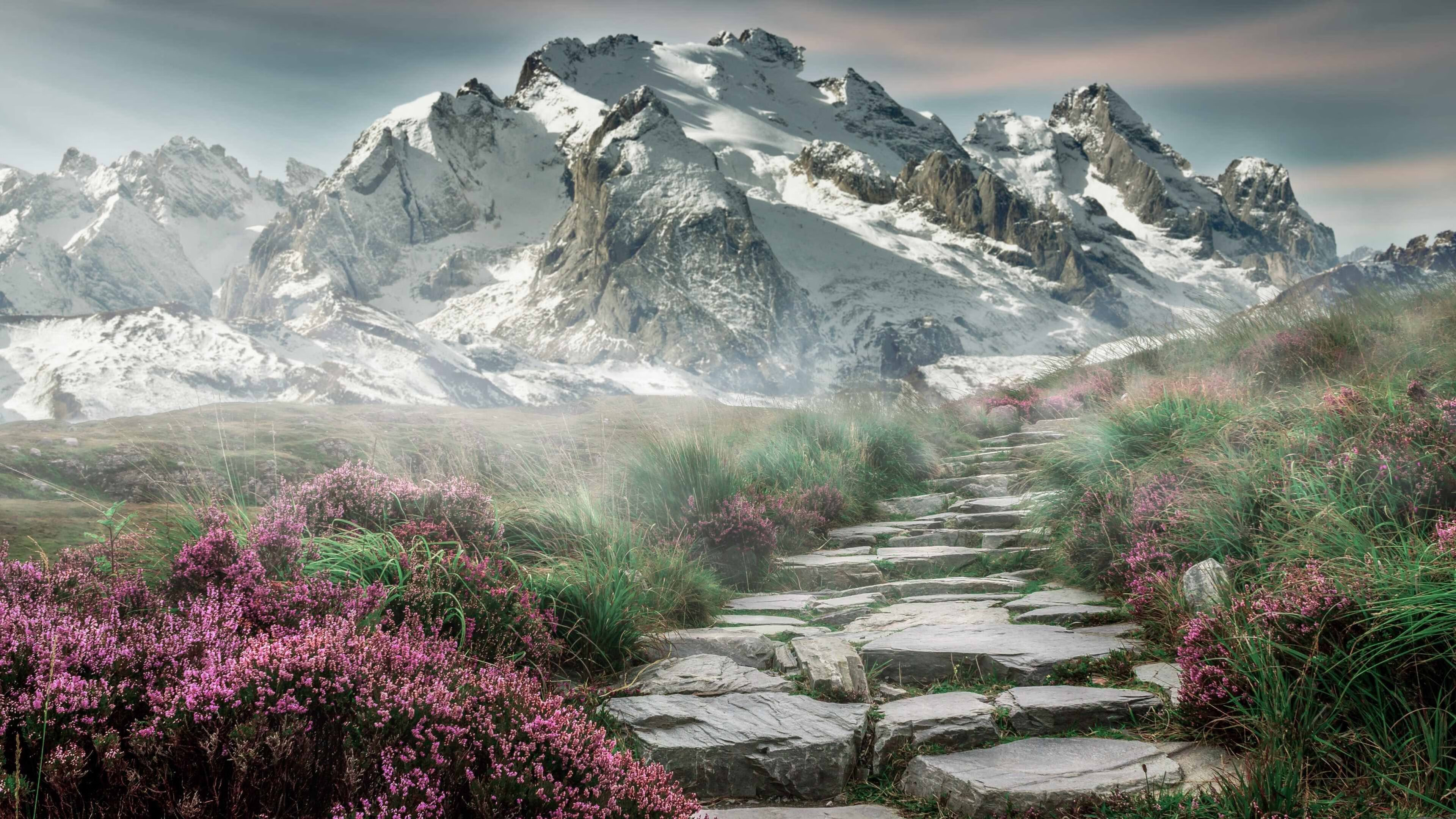 西甲顶级Tag:技术与战术完美糅合,西甲d s